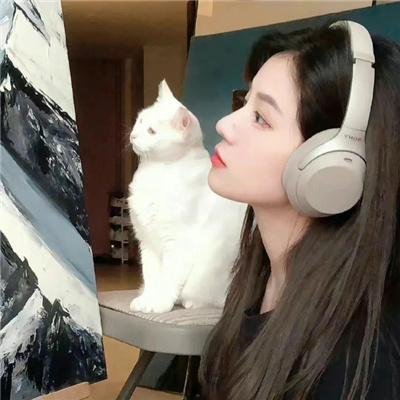 恋爱吧，寨主